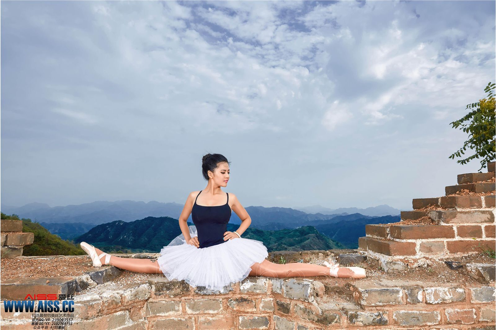 AISs No. 6016 [top of the Great Wall, dance of silk stockings]