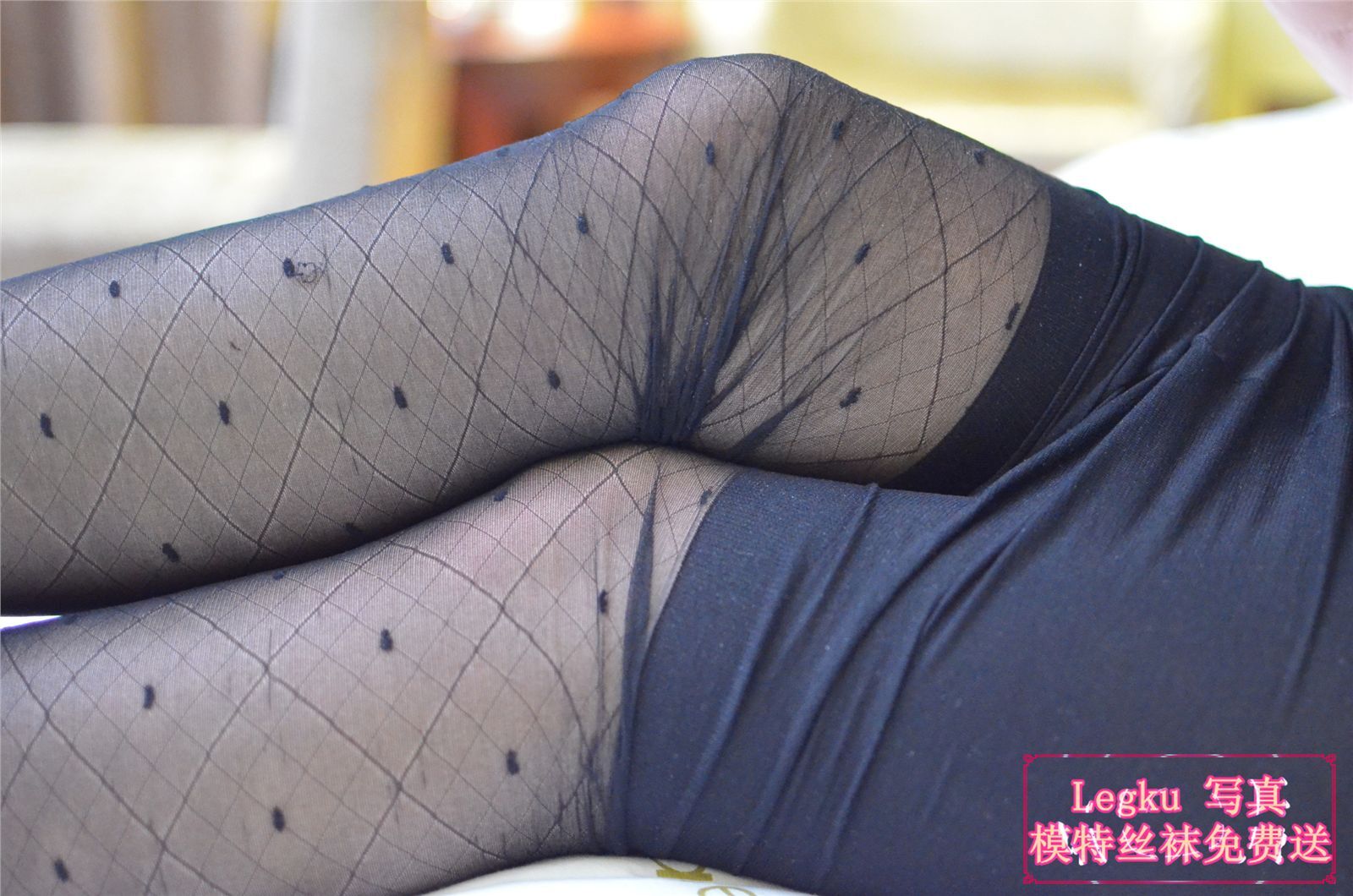 [Legku写真] 2014.10.21 No.185