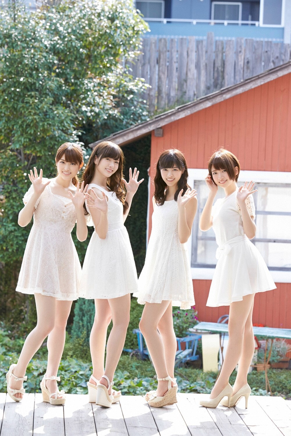 [YS-Web]Vol.262Nogizaka 46去乃木坂46我家吧