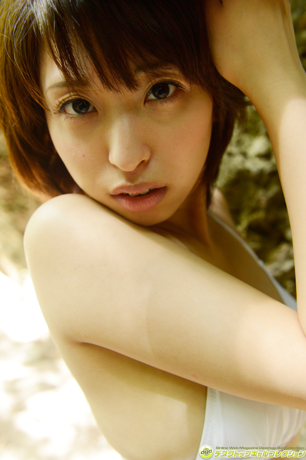 [DGC] 2014.12 No.1207 Syoko Akiyama 秋山祥子