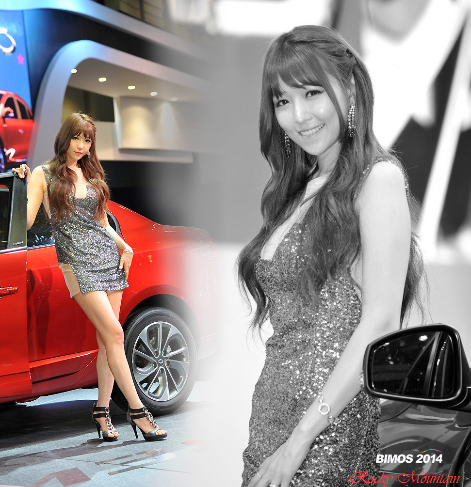 South Korean model goddess Li Enhui 2014 Busan International Auto Show atlas package 3