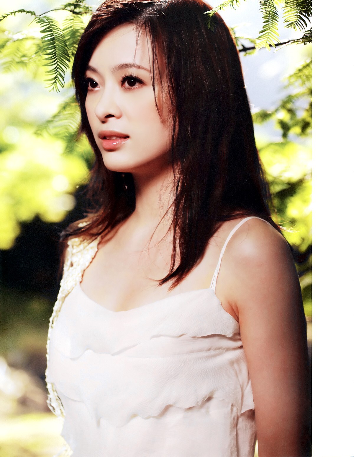 Liu Zhen - high definition photo