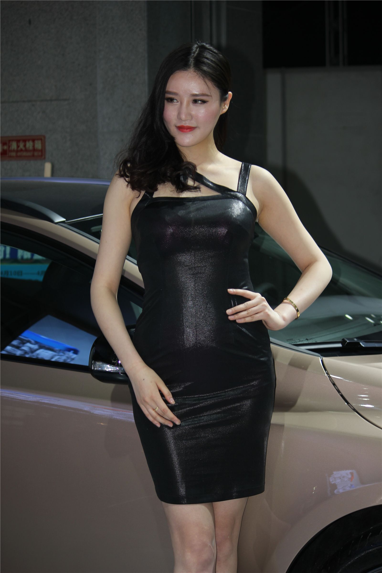 Photo gallery of 2014 Wenzhou 12th International Auto Show 06