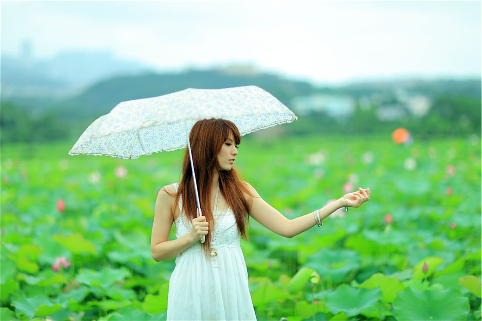 Early summer countryside scenery photo of Taiwan pure beauty Xiaojing farm