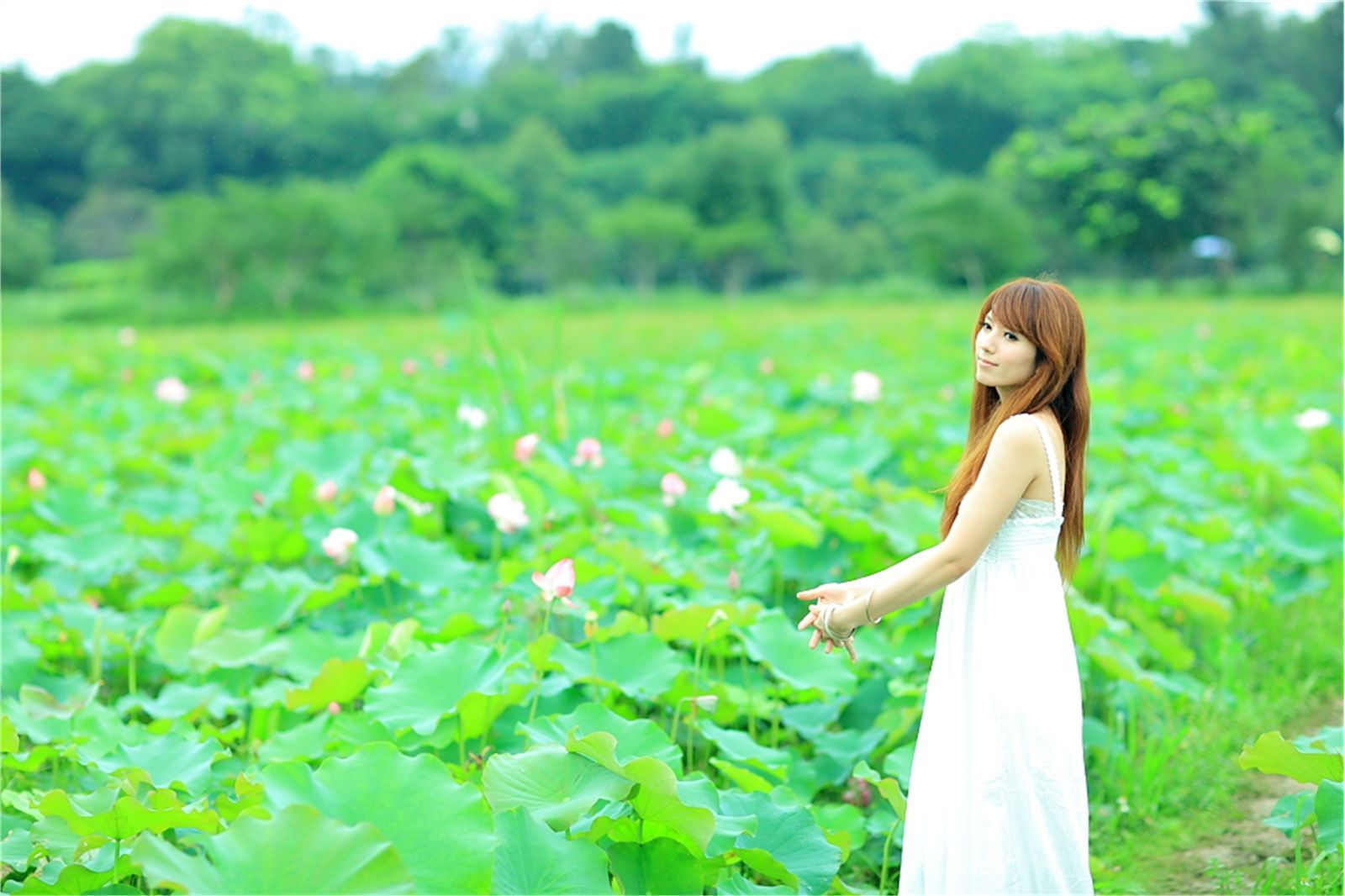 Early summer countryside scenery photo of Taiwan pure beauty Xiaojing farm