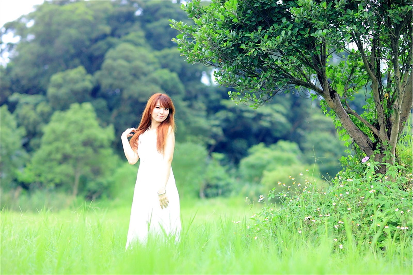 Early summer countryside scenery photo of Taiwan pure beauty Xiaojing farm