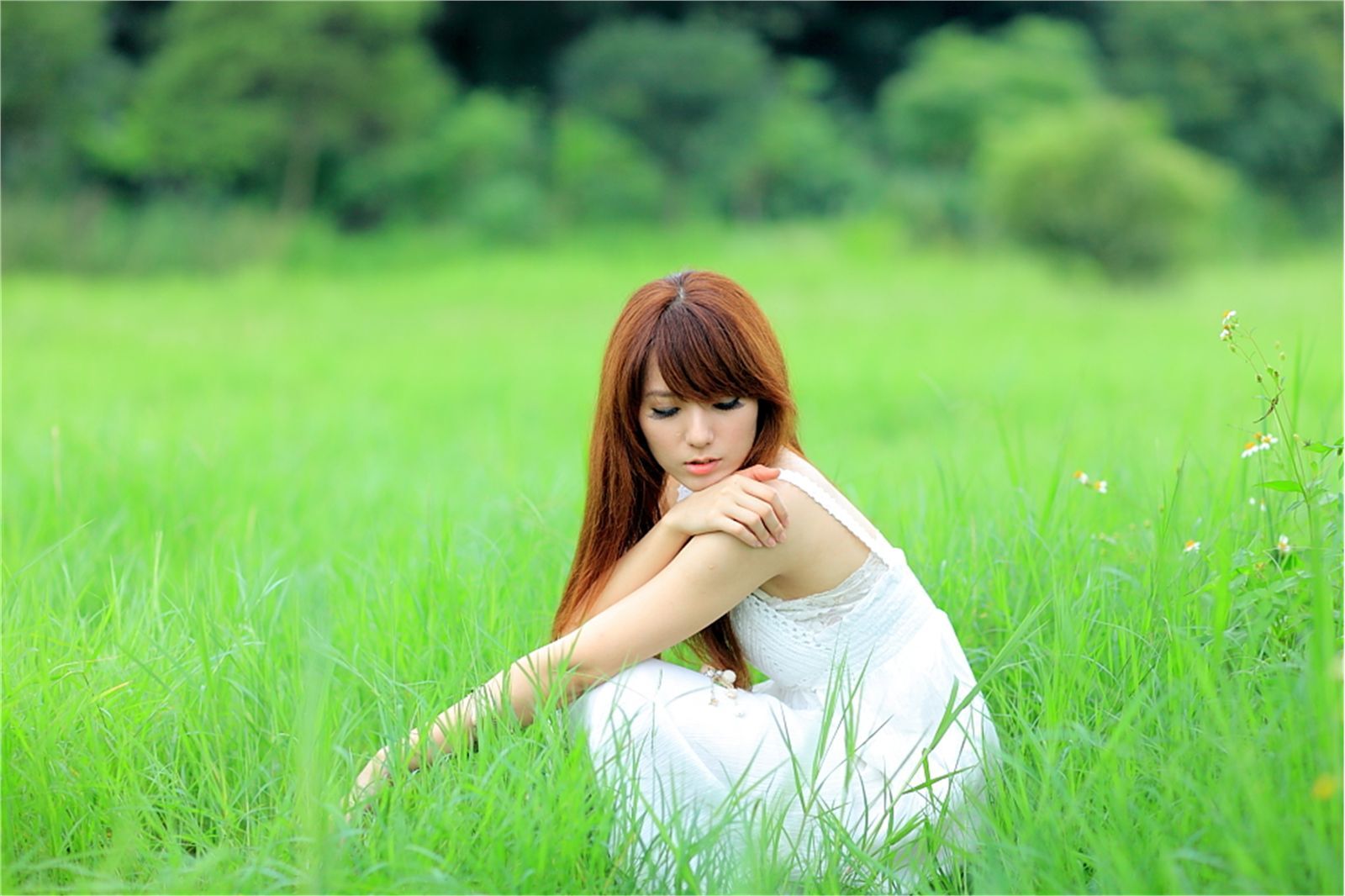 Early summer countryside scenery photo of Taiwan pure beauty Xiaojing farm