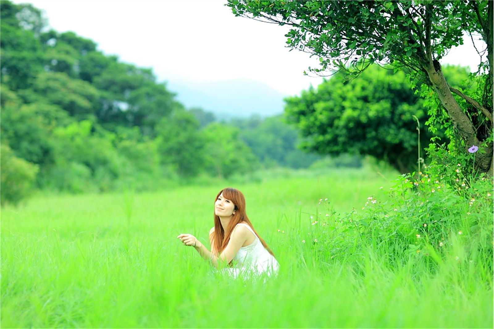 Early summer countryside scenery photo of Taiwan pure beauty Xiaojing farm