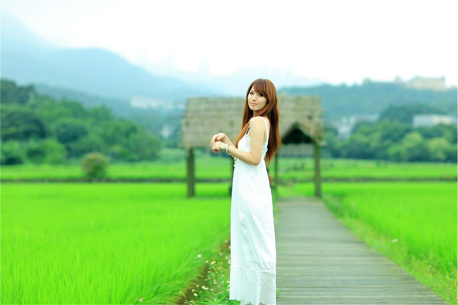 Early summer countryside scenery photo of Taiwan pure beauty Xiaojing farm