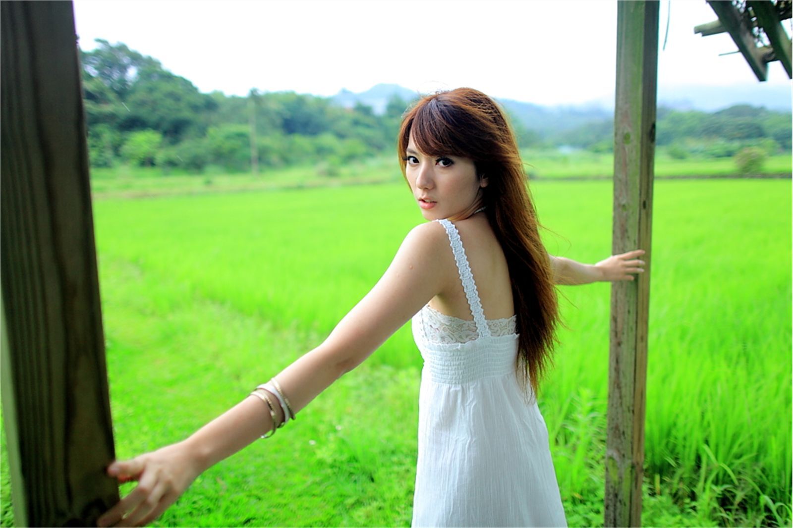 Early summer countryside scenery photo of Taiwan pure beauty Xiaojing farm