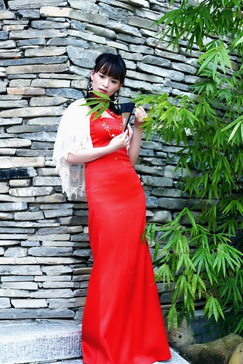 Collection of Chinese style dress 005