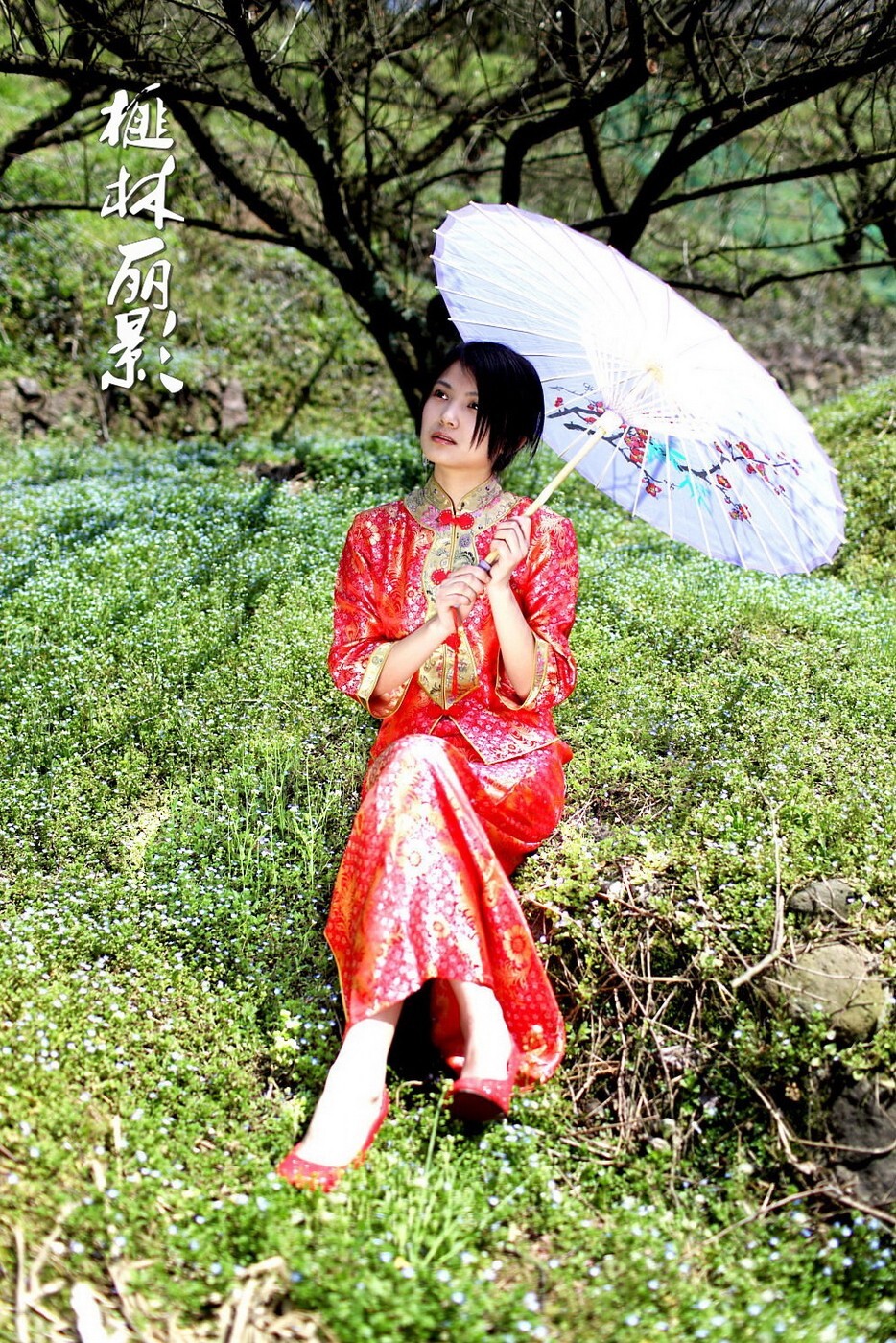 Collection of Chinese dress 015