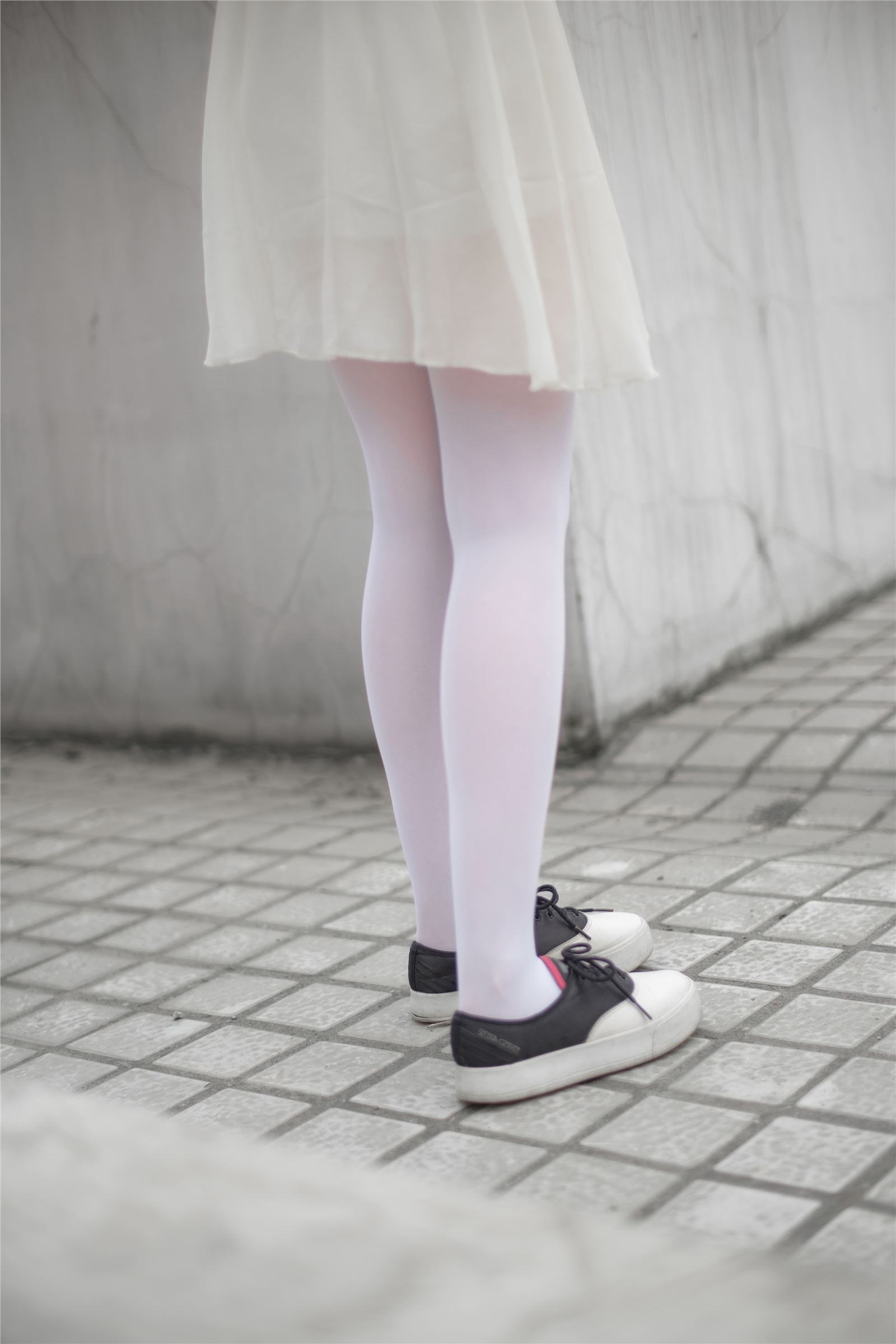 [Sen Luo consortia] rolis foot photo r15-007 Tulle girl on windowsill