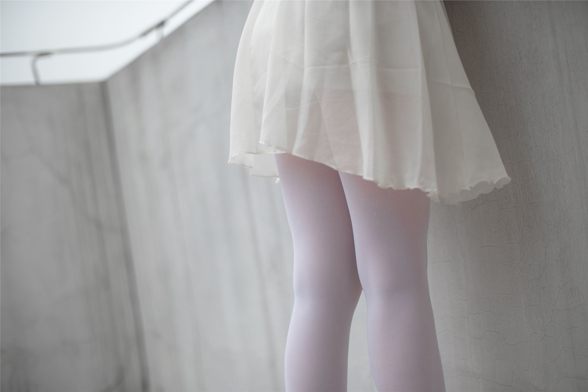 [Sen Luo consortia] rolis foot photo r15-007 Tulle girl on windowsill