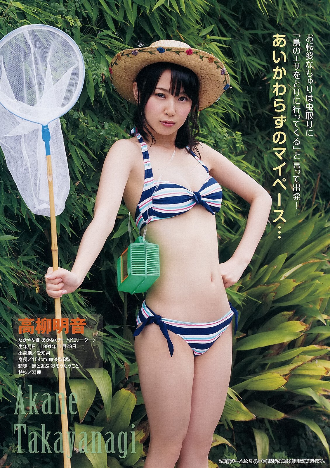 [Young Animal] 2013 No.86 SKE48