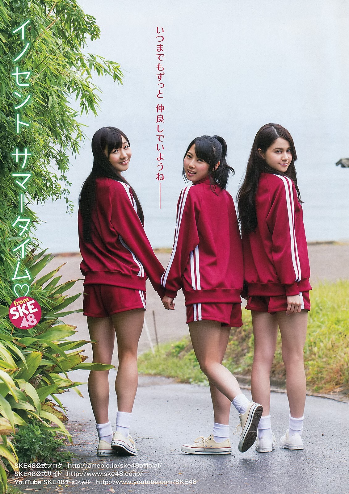 [Young Animal] 2013 No.86 SKE48