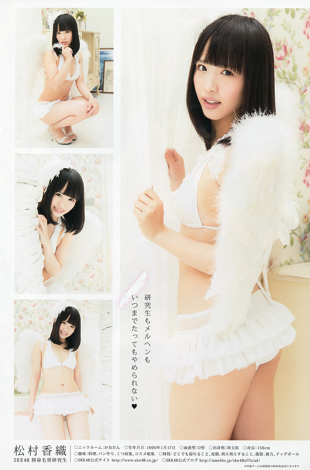 [Young Animal] 2013 No.86 SKE48