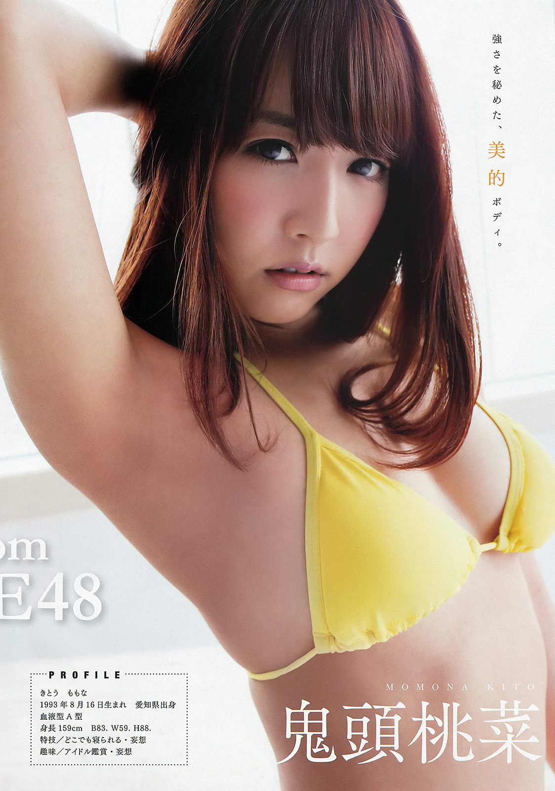 [Young Animal] 2013 No.86 SKE48