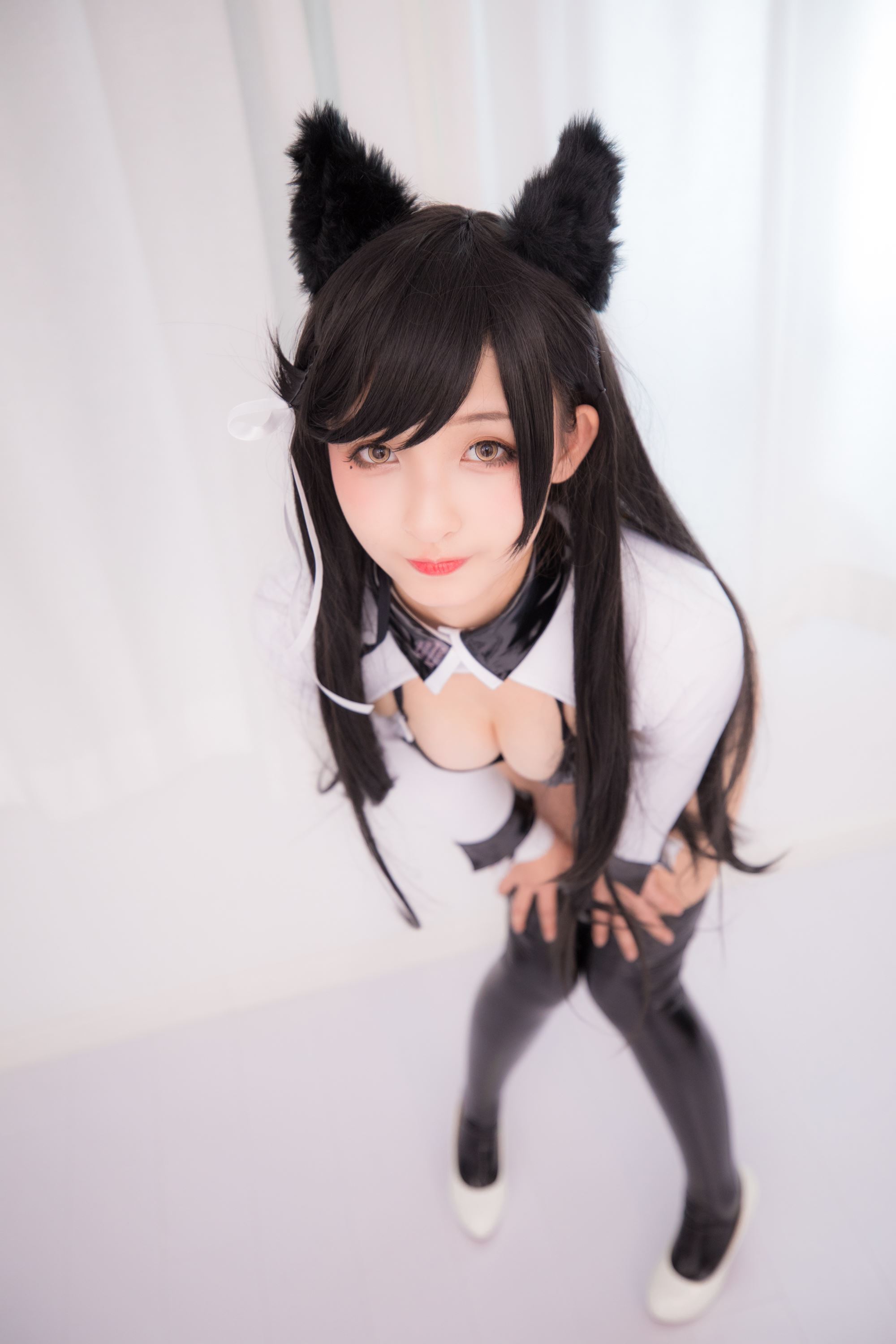 Atago-latex ver