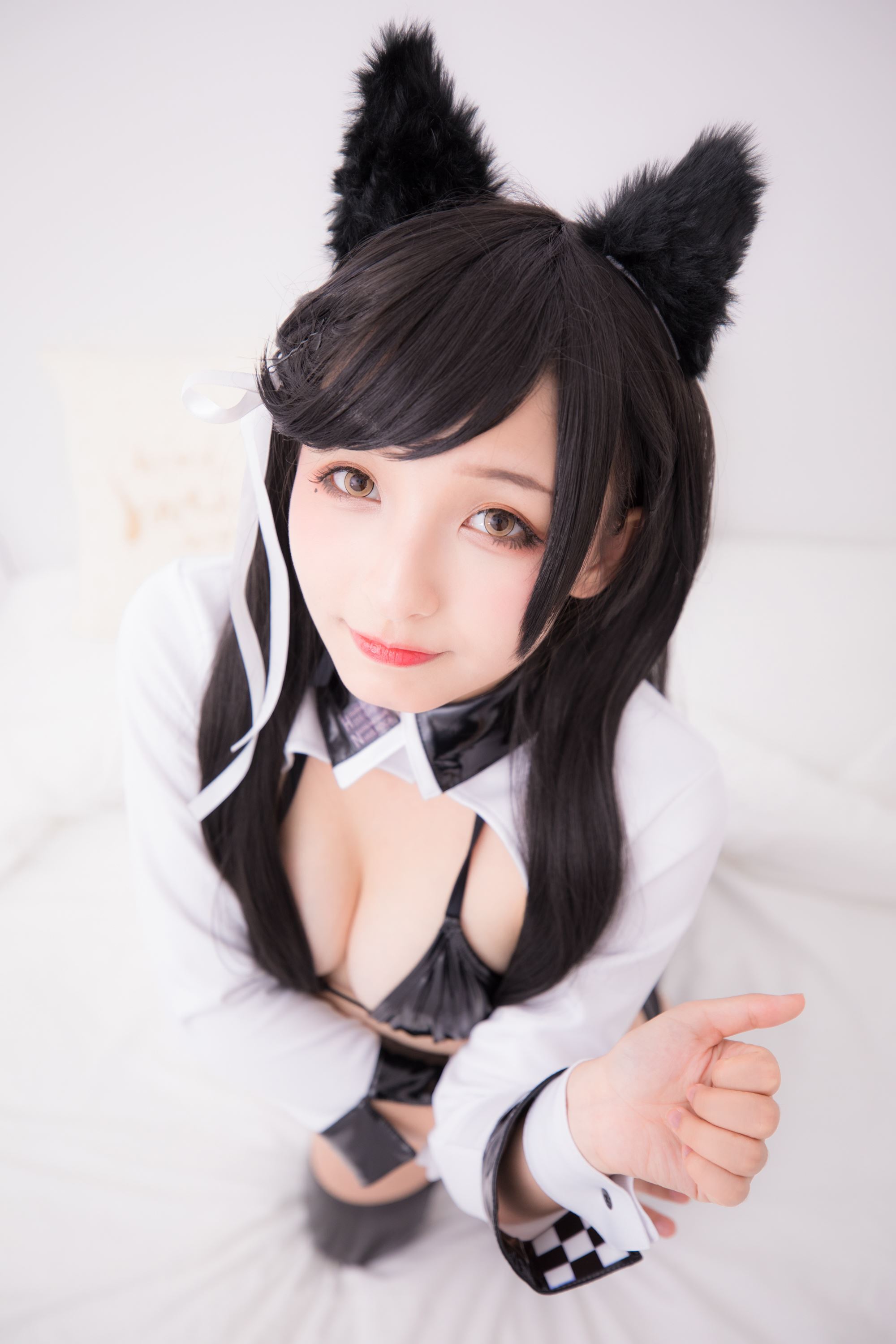 Atago-latex ver