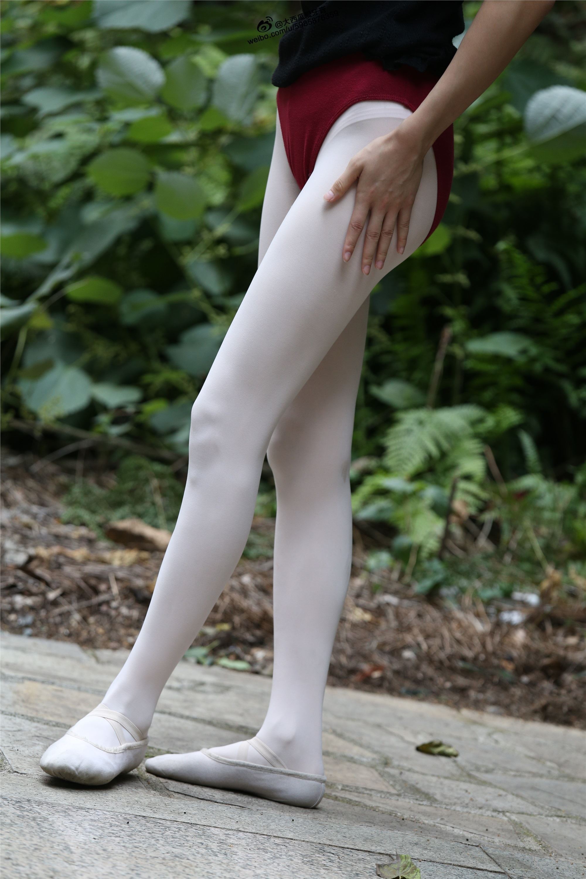 大西瓜美女图片 W011 舞蹈家2-身材极好31