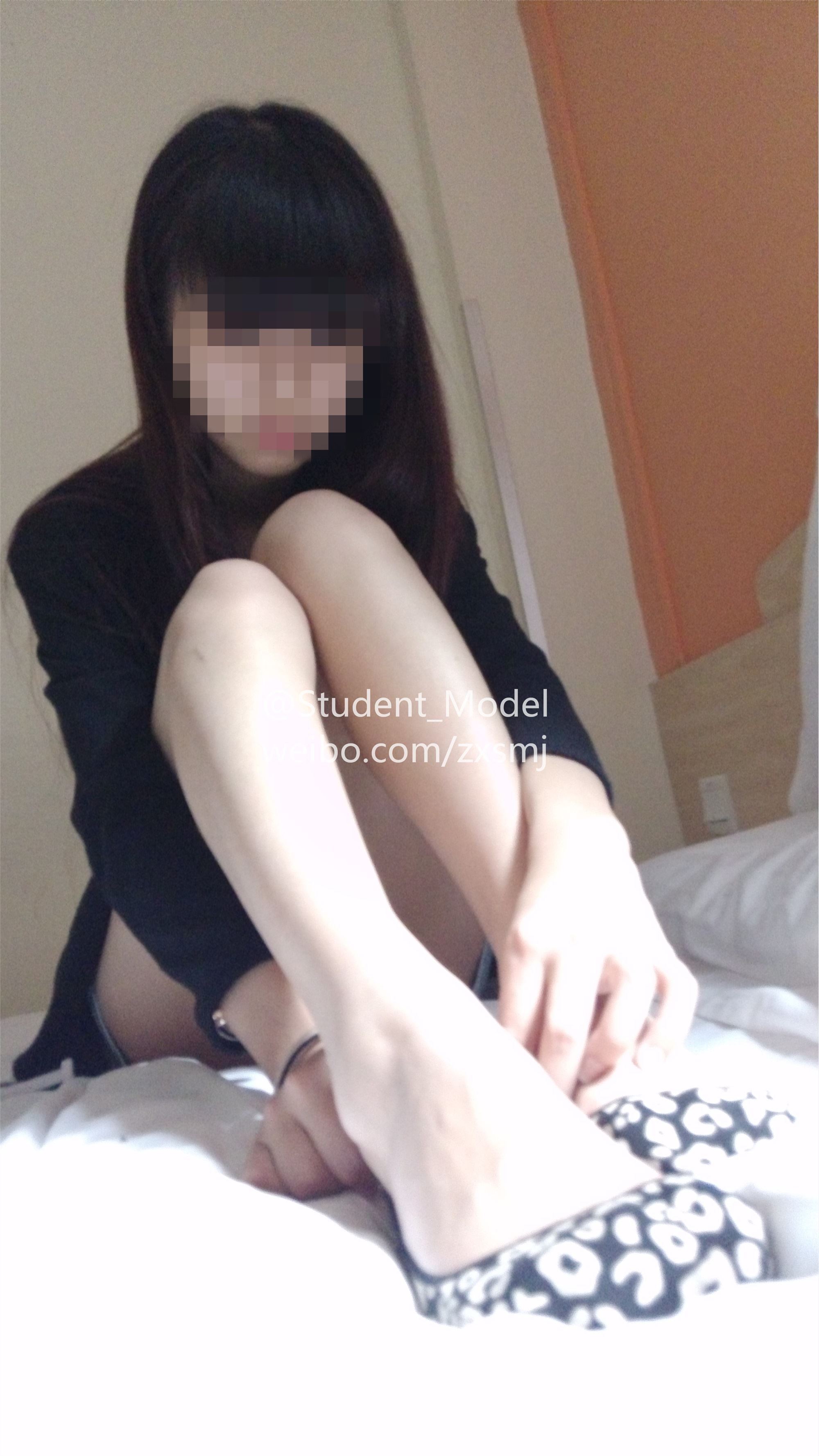 Student model set pupil pupil 1