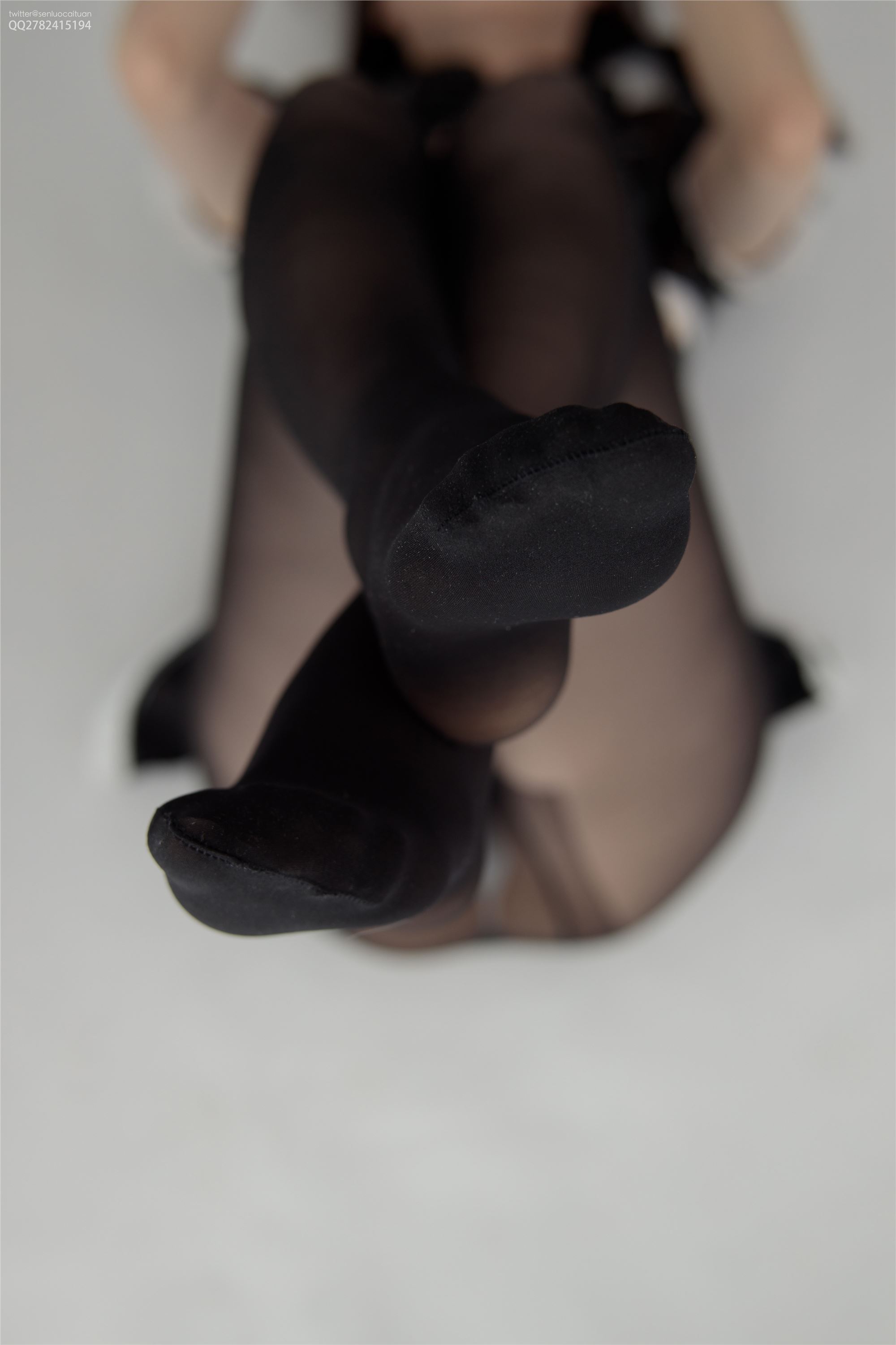 Photo of rose foot of Sen Luo group jkfun-036 15d black silk Southern Hemisphere