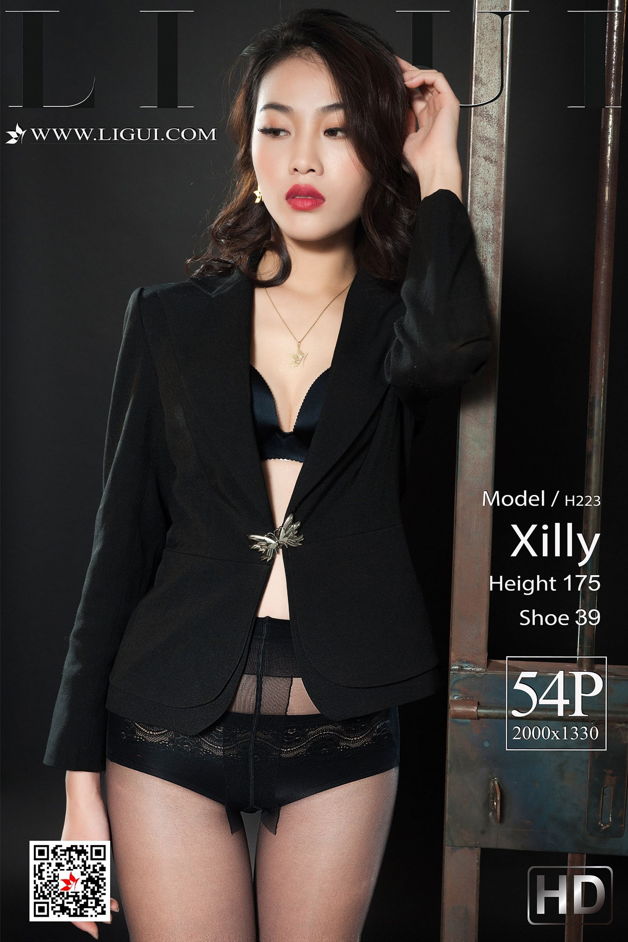 [ligui cabinet] December 02, 2018 model xilly