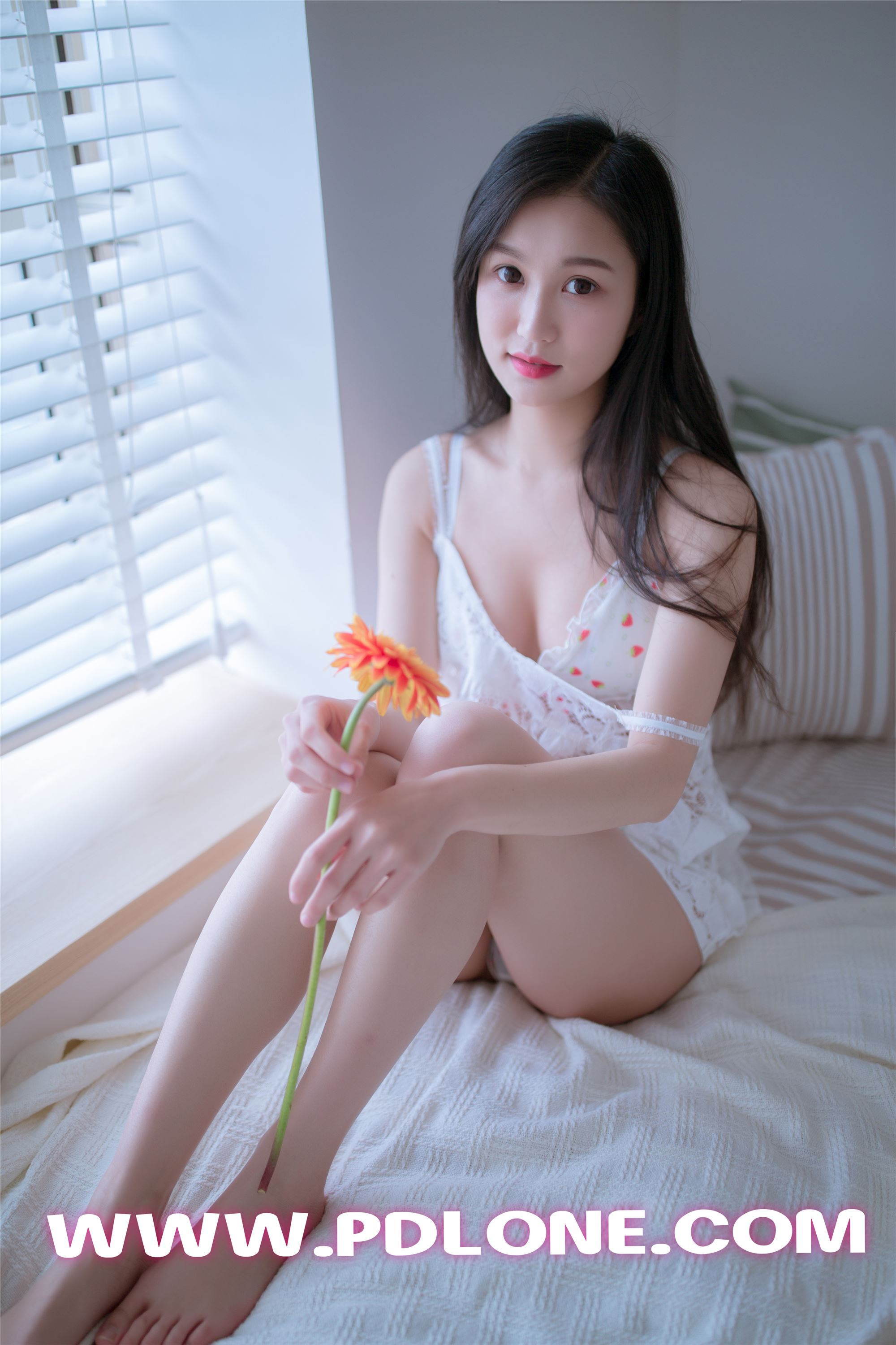 [PDL潘多拉] 2019.05.24 NO.404