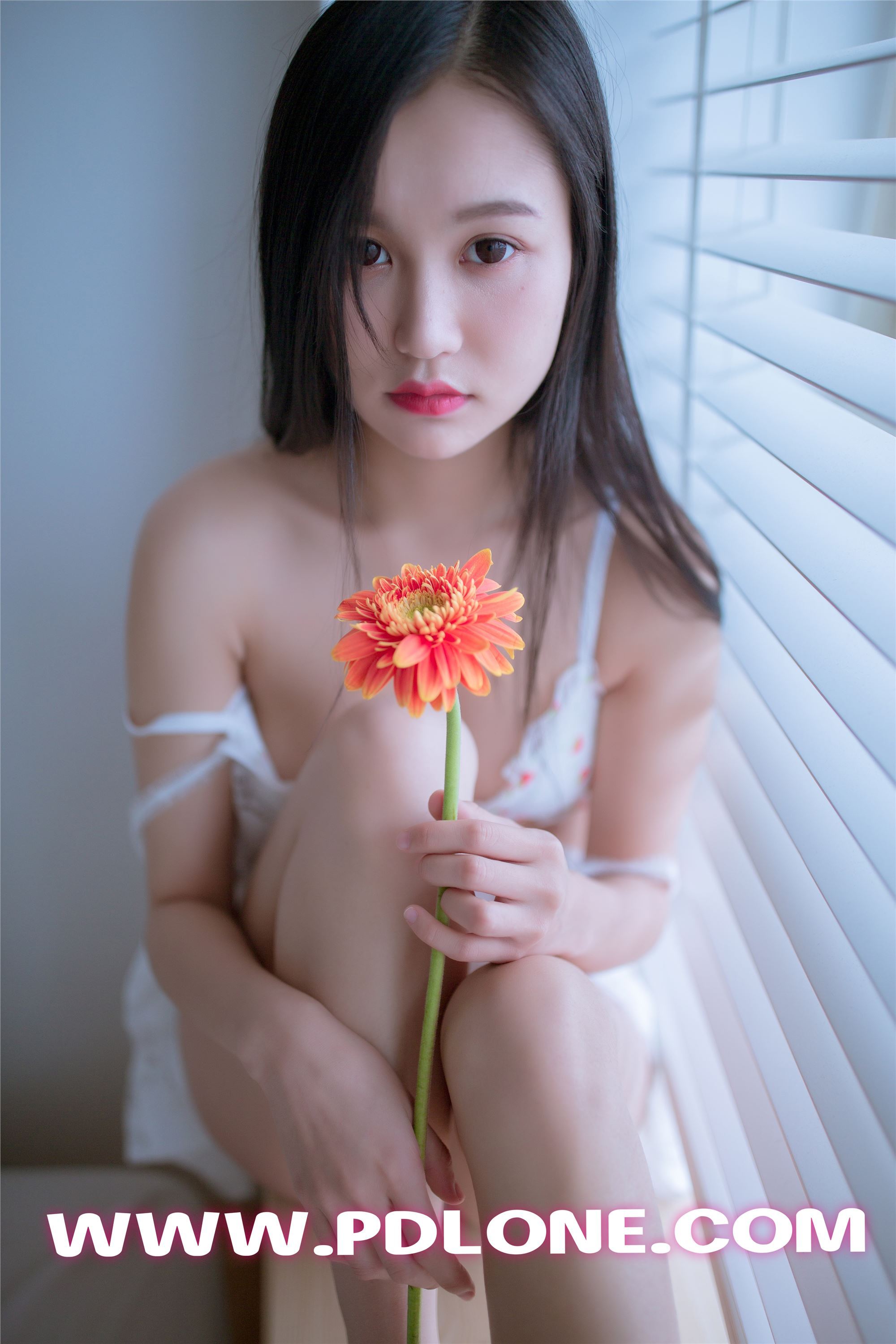 [PDL潘多拉] 2019.05.24 NO.404