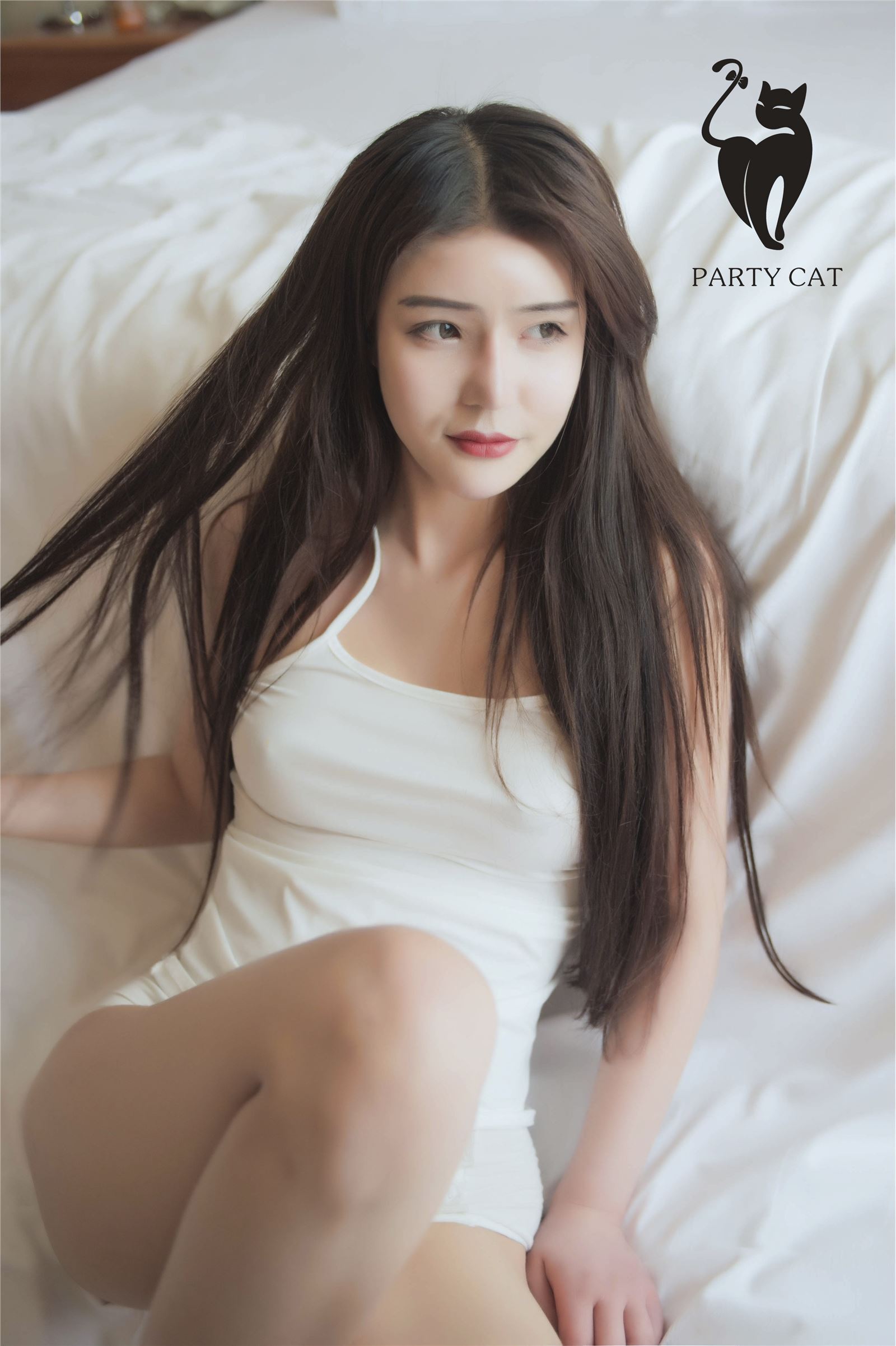 [partycat roaring cat] 2017.12.03 no.012 Wen Lin