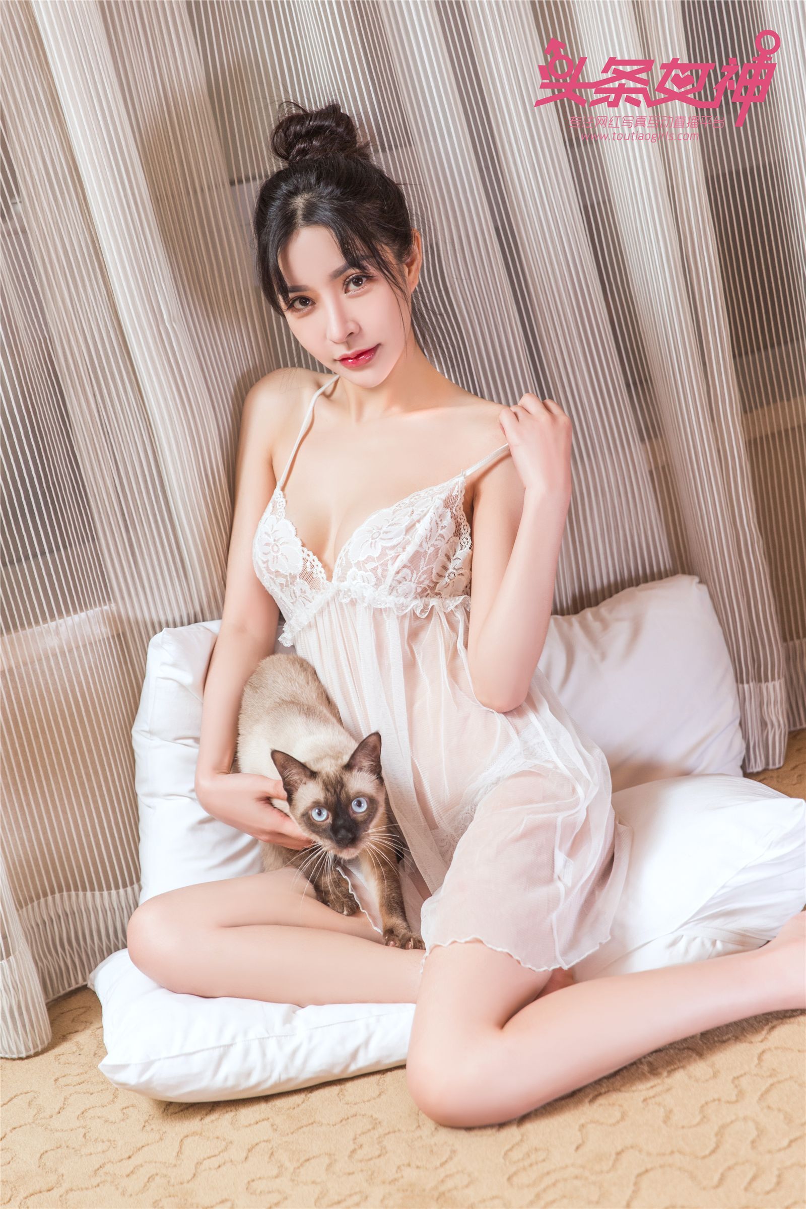 [Toutiao girls headline goddess] October 11, 2017 girl and cat baby