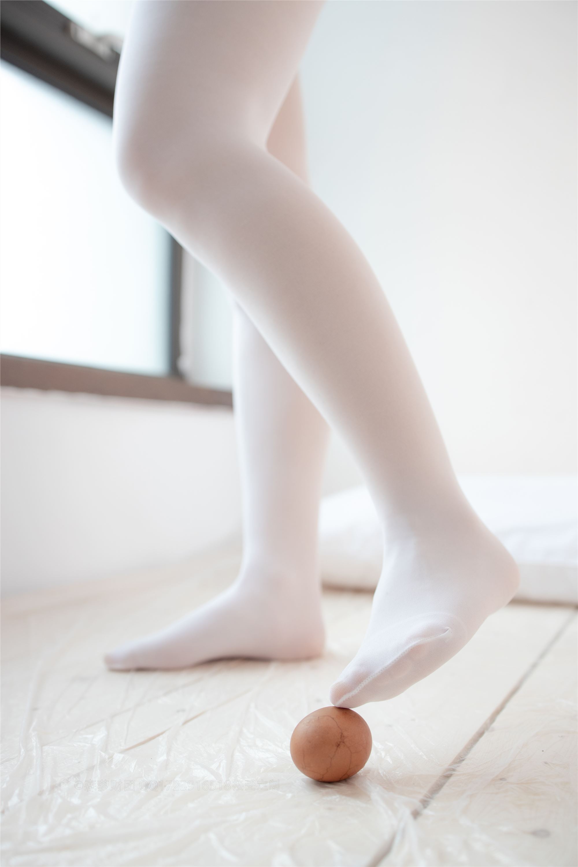 [Sen Luo financial group] rose foot photo x-048