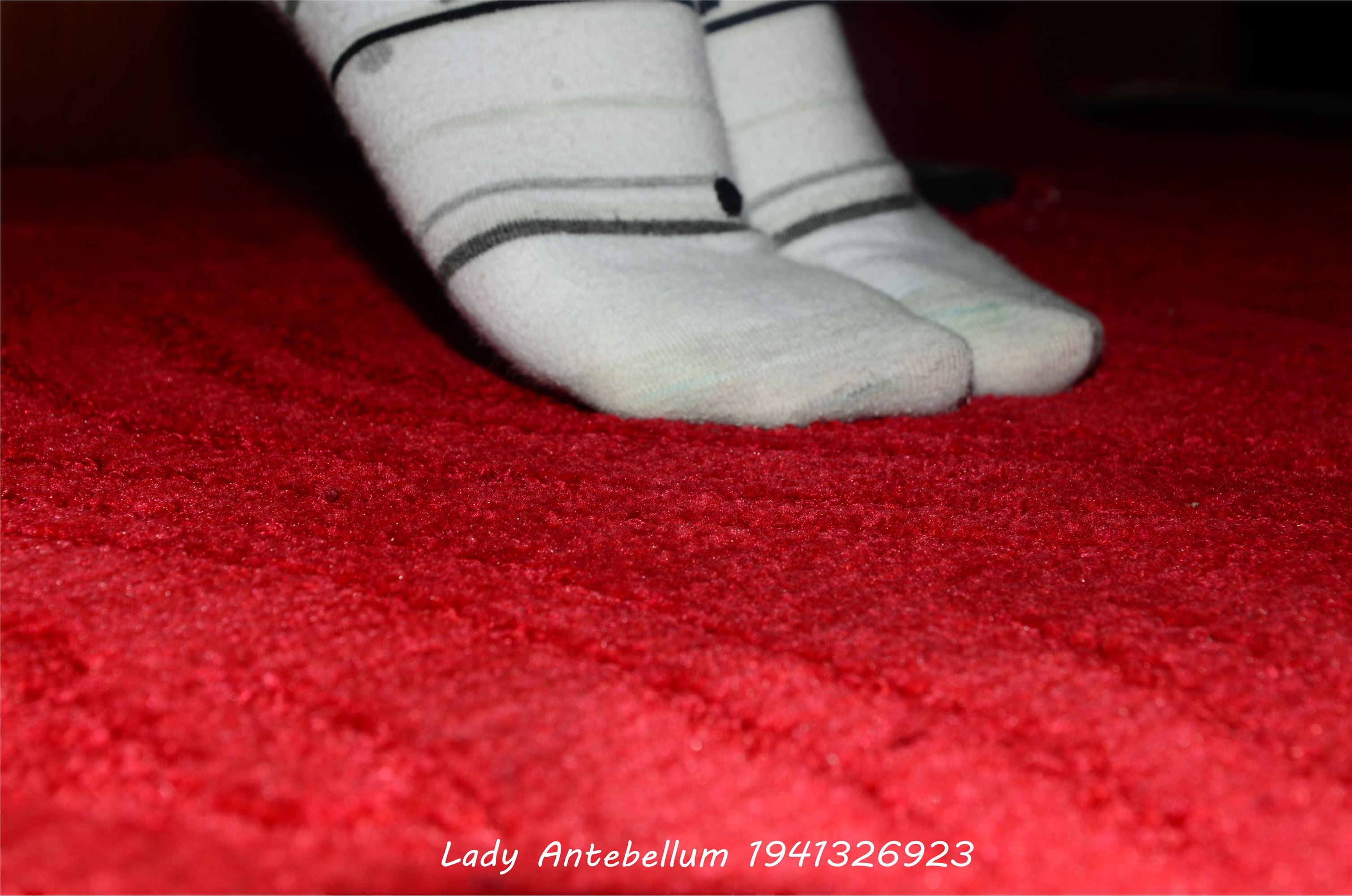 [goddess before the war] love feet and legs, cotton stockings, goddess level photo set 029