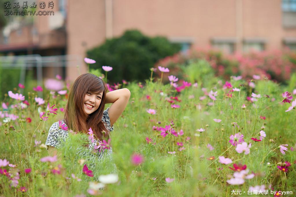 大元。台灣大學