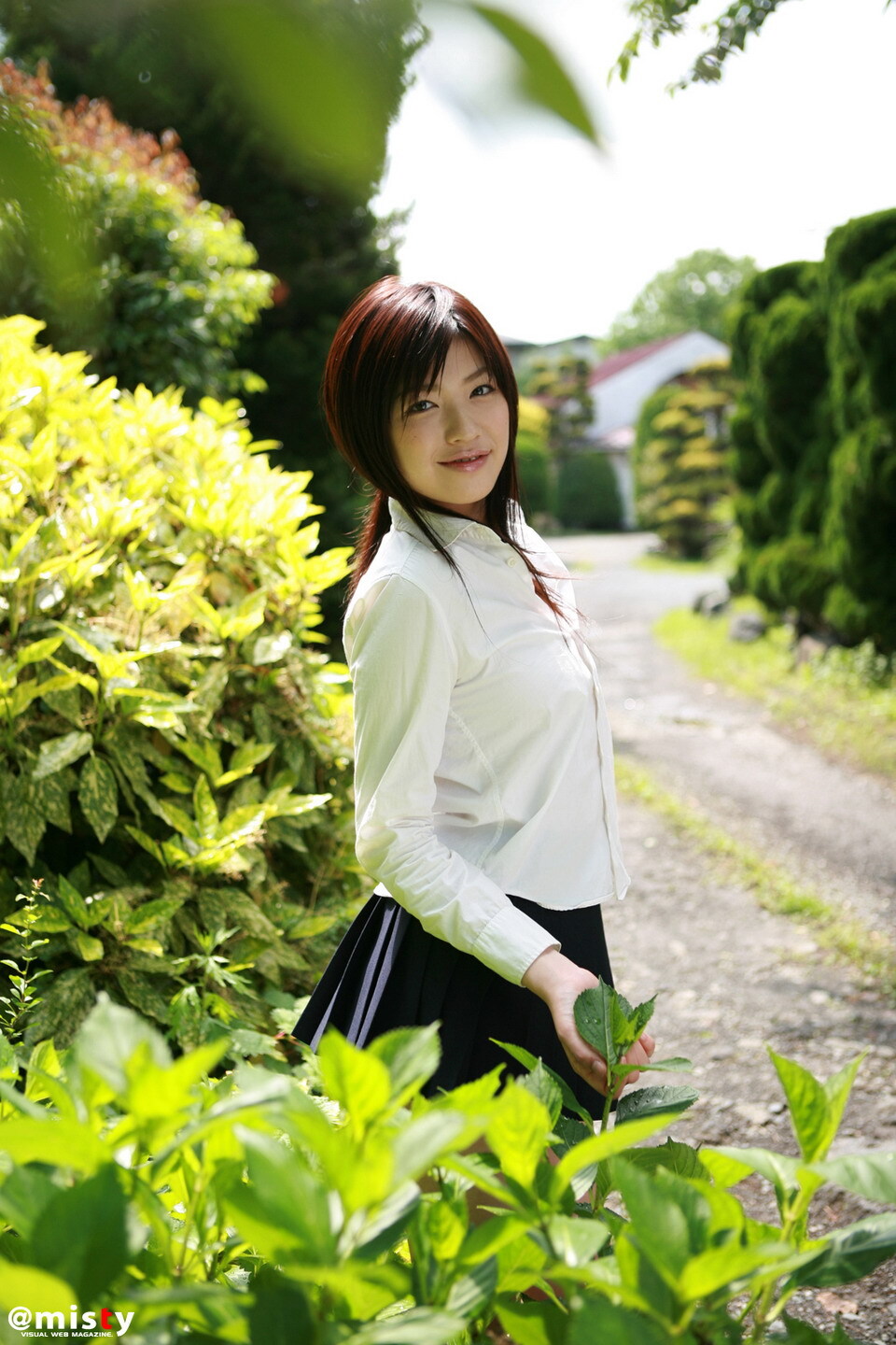 Taneda chieri