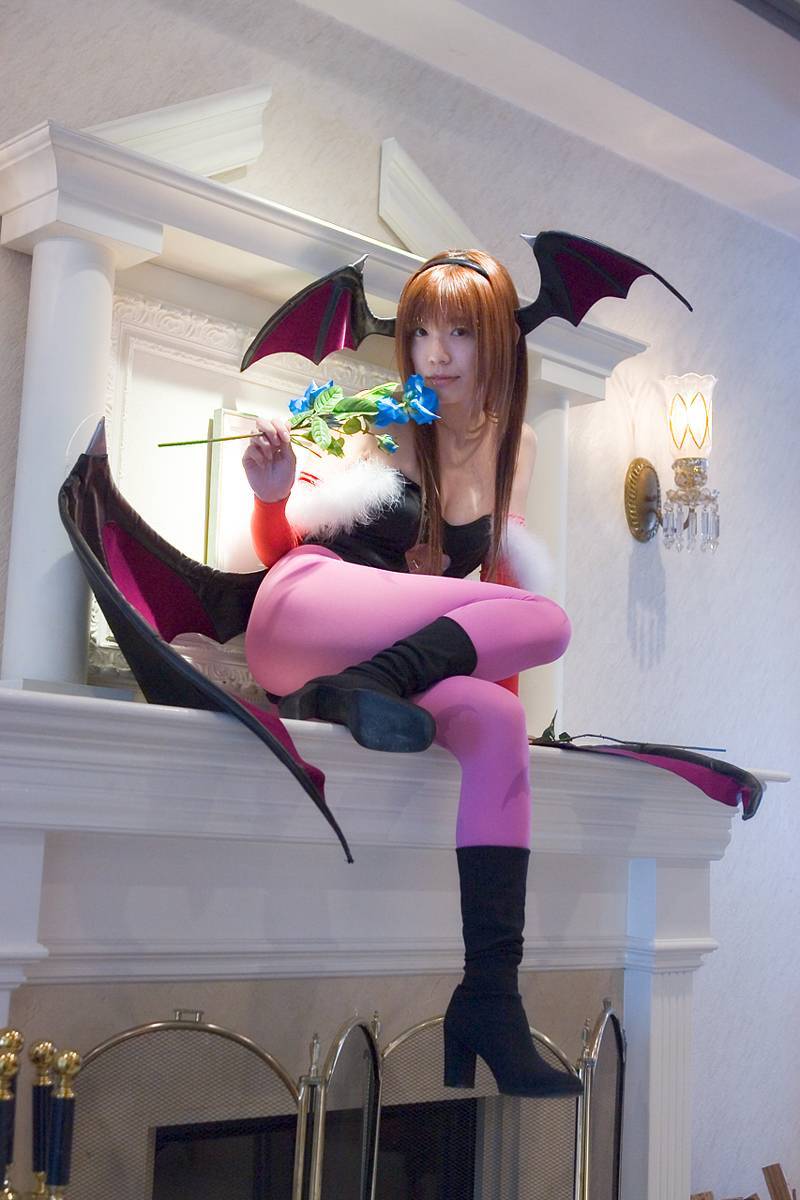 [Cosplay] 2013.04.14 Darkstalkers&Digi Charat 2