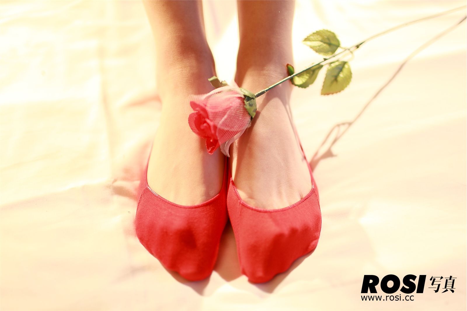 Hosiery foot no.029- ROSI.CC Beauty Set