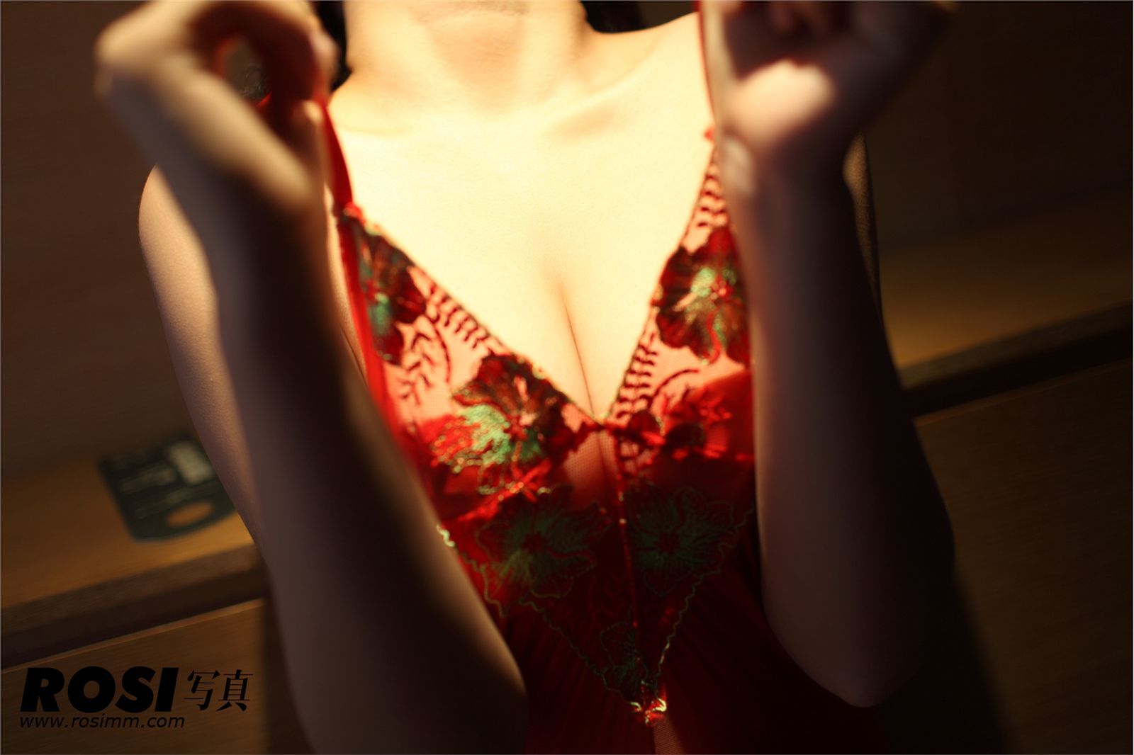 No.309 匿名寫真 酒店里的丝袜诱惑写真 [ROSI] 20120712