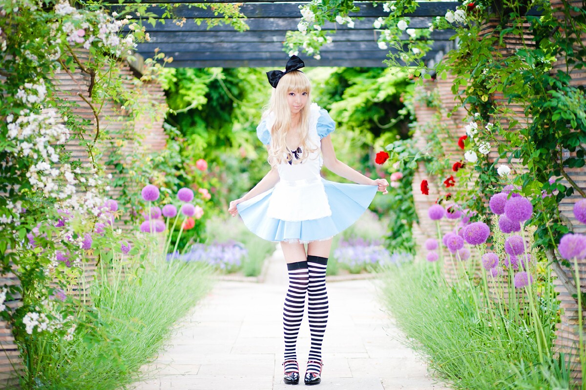 [Cosplay] 2013.03.20 Alice in Wonderland by Necoco