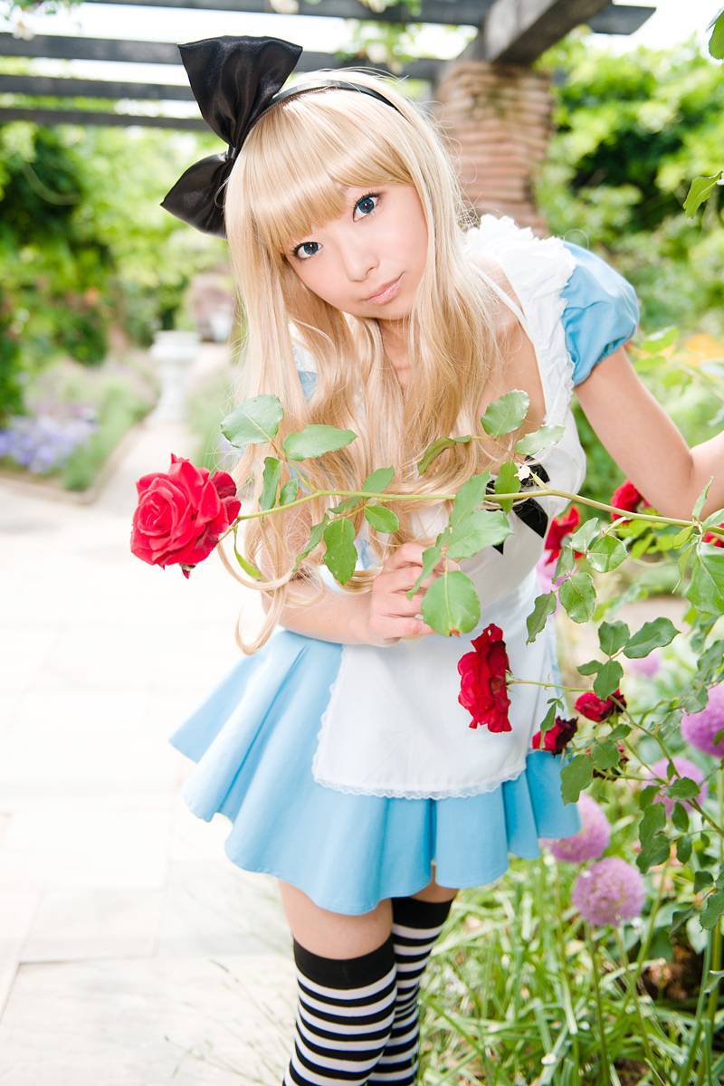 [Cosplay] 2013.03.20 Alice in Wonderland by Necoco