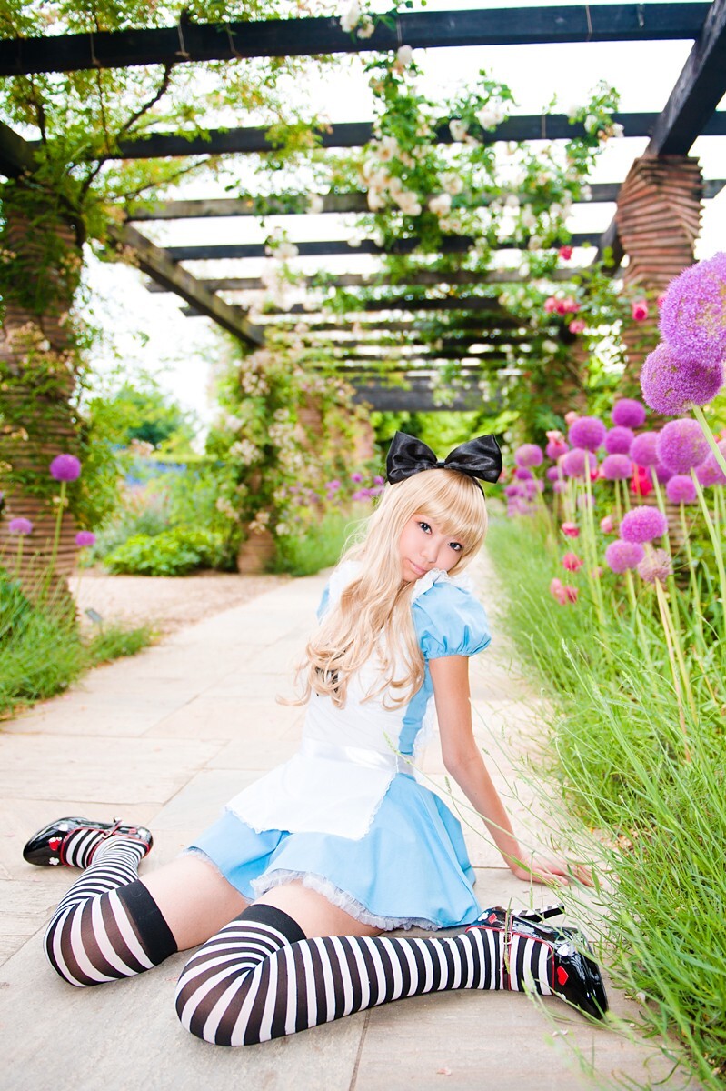 [Cosplay] 2013.03.20 Alice in Wonderland by Necoco