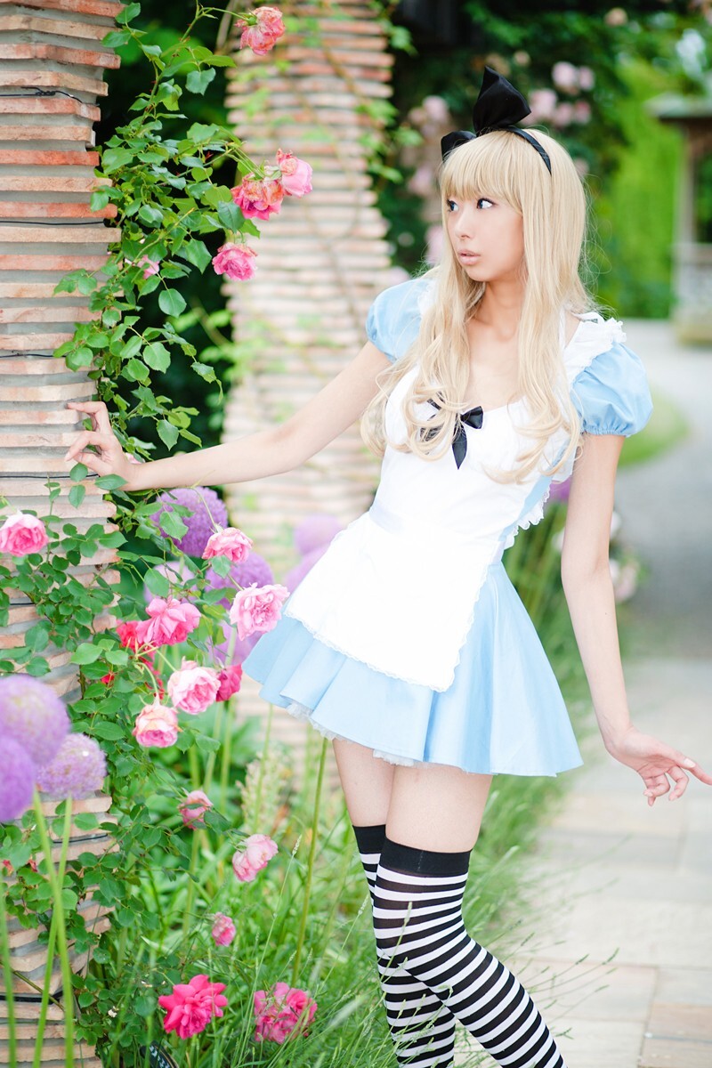 [Cosplay] 2013.03.20 Alice in Wonderland by Necoco