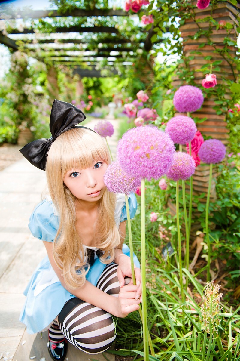 [Cosplay] 2013.03.20 Alice in Wonderland by Necoco