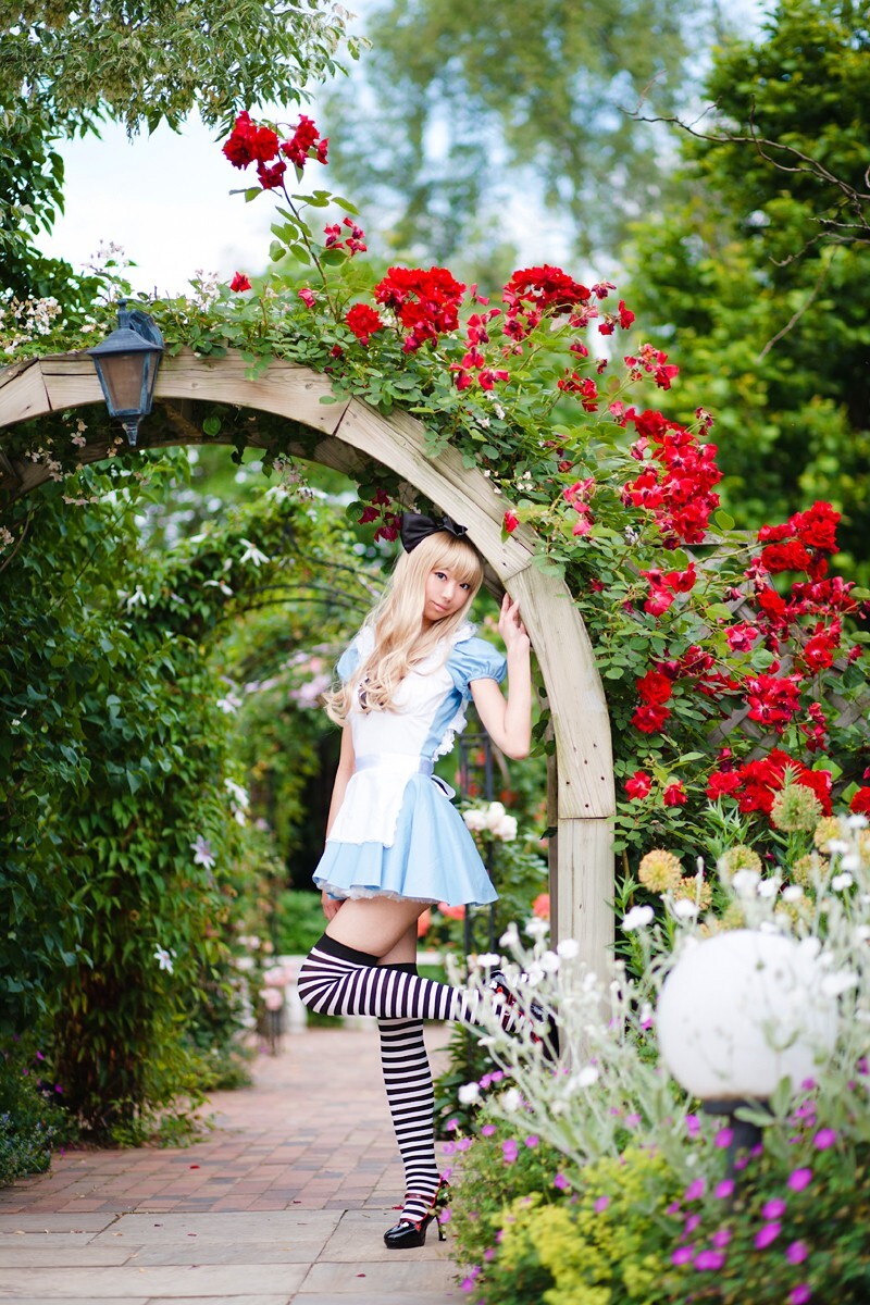 [Cosplay] 2013.03.20 Alice in Wonderland by Necoco