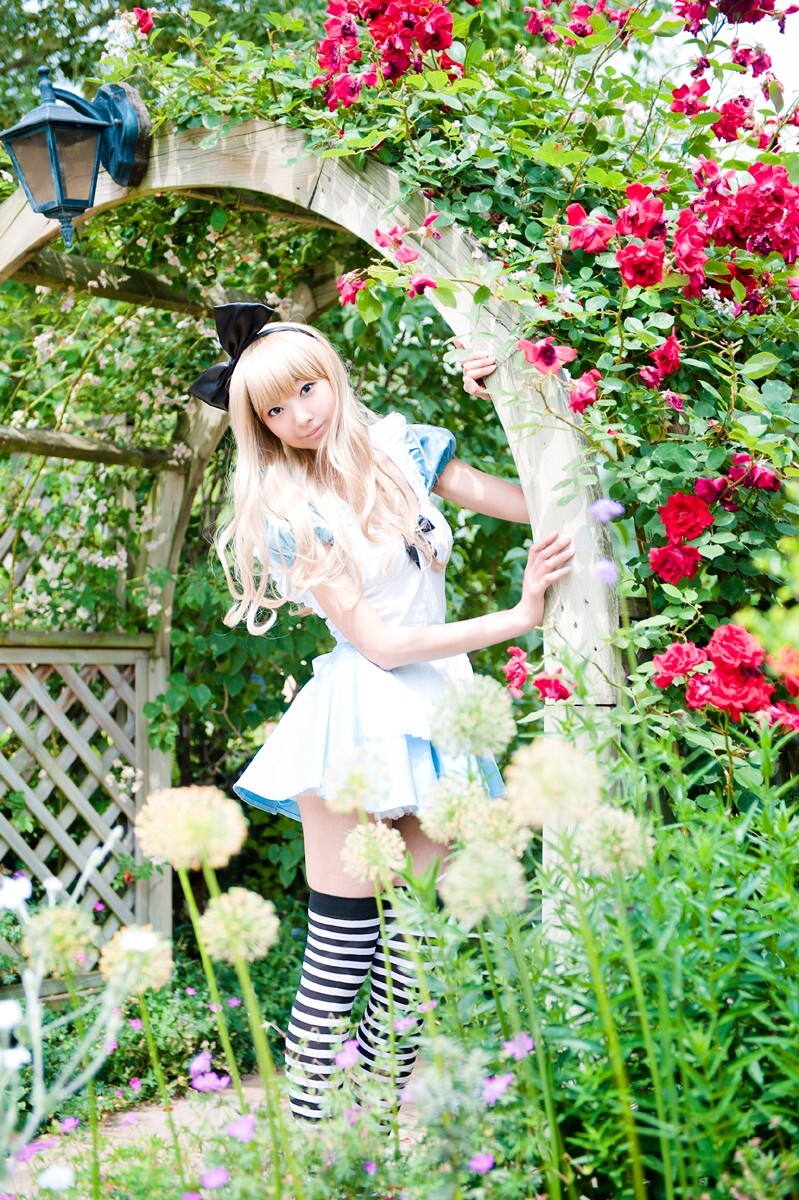 [Cosplay] 2013.03.20 Alice in Wonderland by Necoco