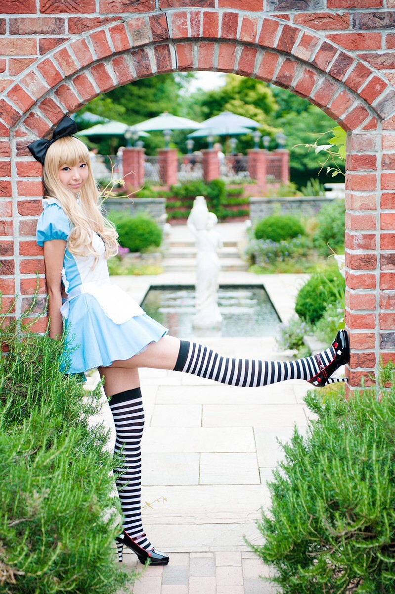 [Cosplay] 2013.03.20 Alice in Wonderland by Necoco