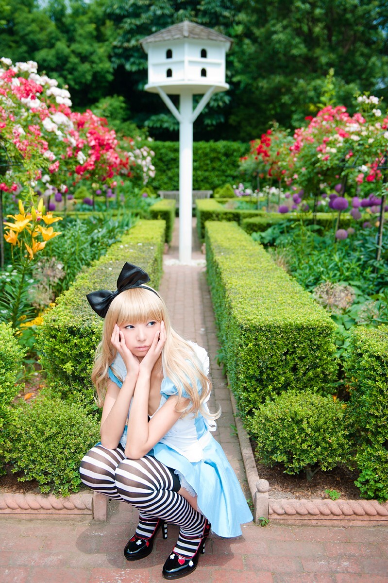 [Cosplay] 2013.03.20 Alice in Wonderland by Necoco