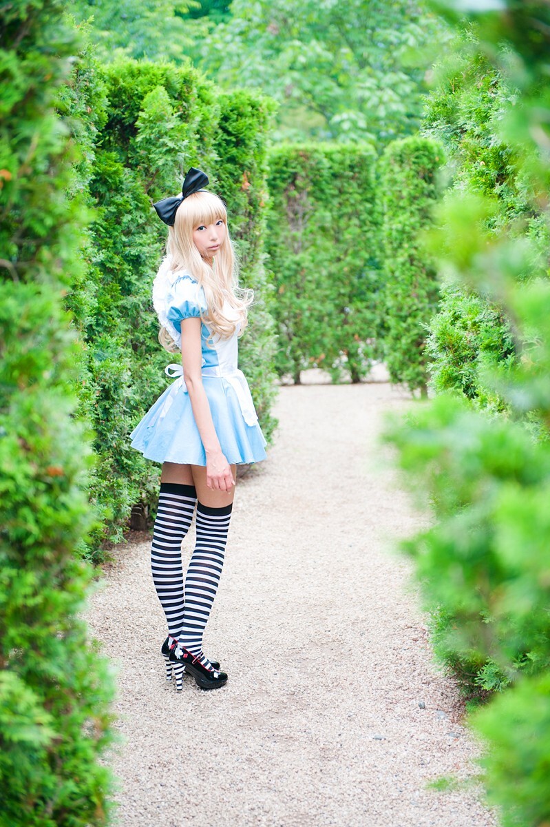 [Cosplay] 2013.03.20 Alice in Wonderland by Necoco