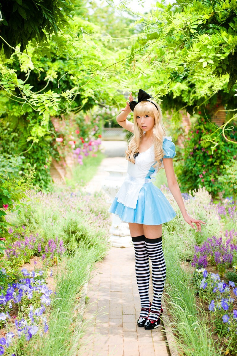 [Cosplay] 2013.03.20 Alice in Wonderland by Necoco